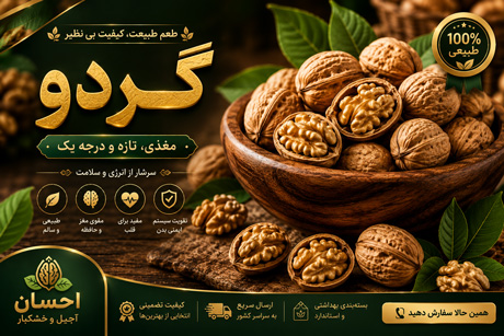 گردو